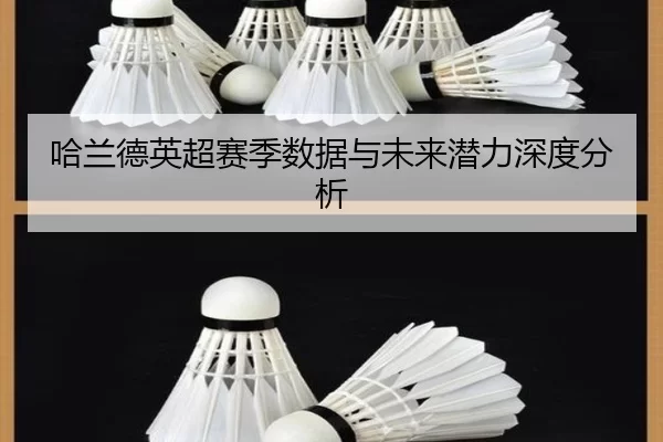 哈兰德英超赛季数据与未来潜力深度分析